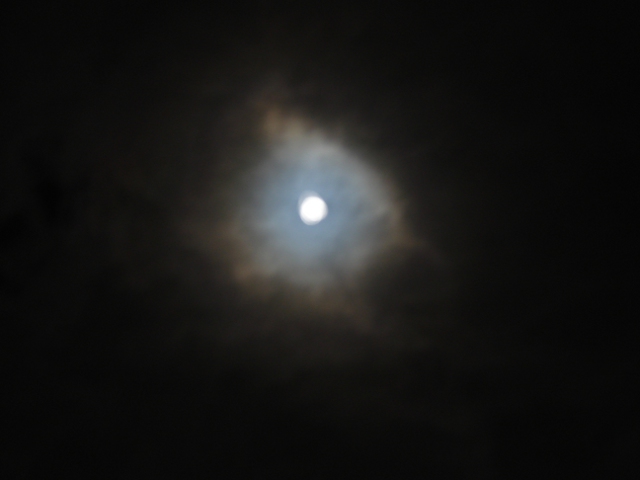 Moon Moon